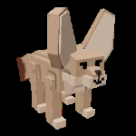 Fennec Fox